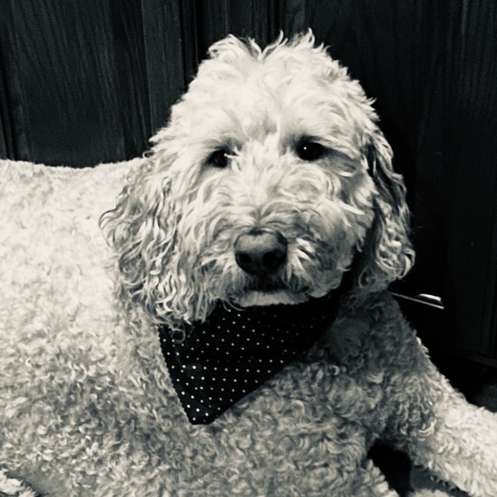 Meet your Posher, Kristen